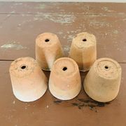 Lot de 5 pots en terre cuite circa 1930 graineterie