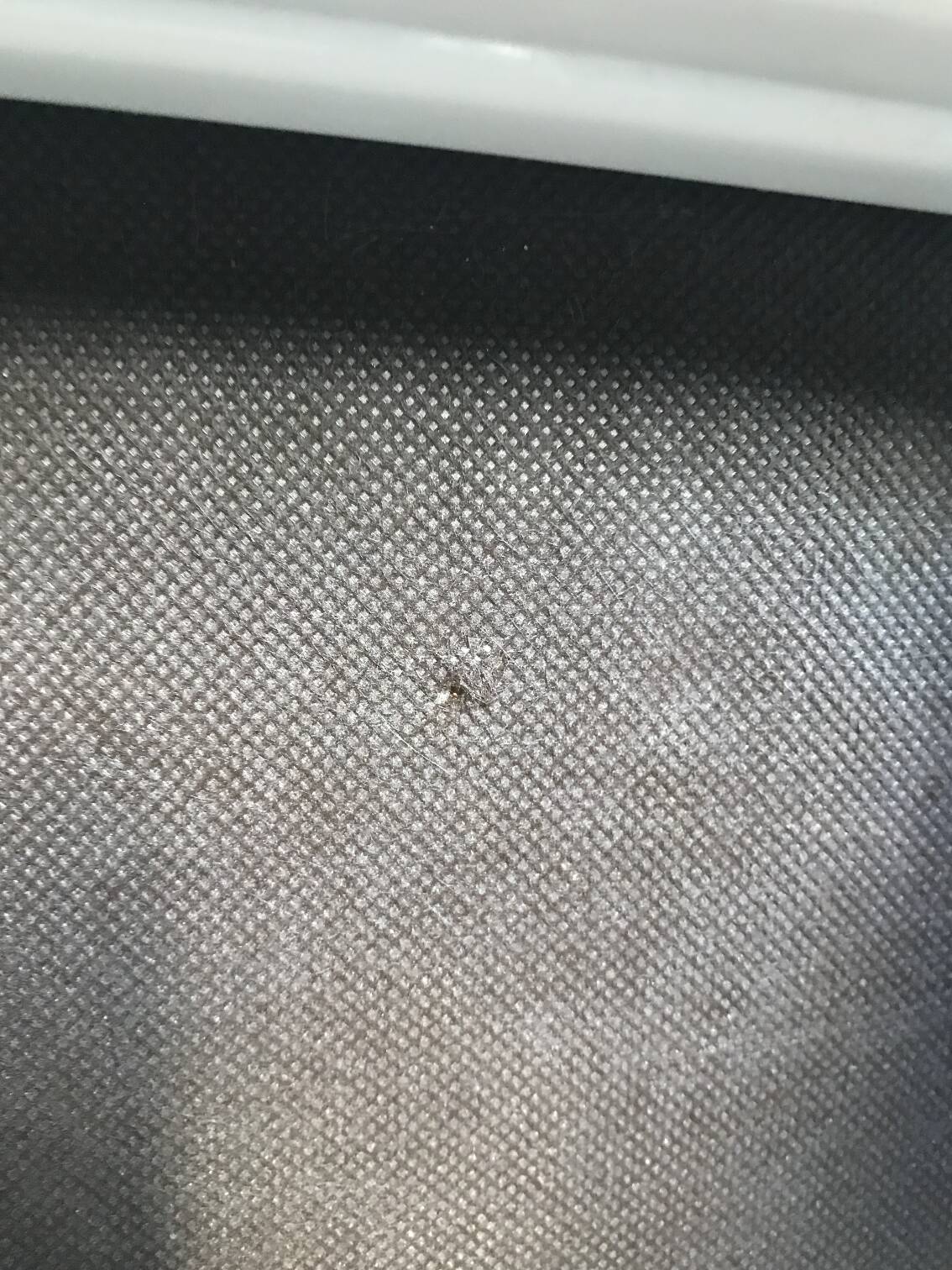 Postmodern dining chairs