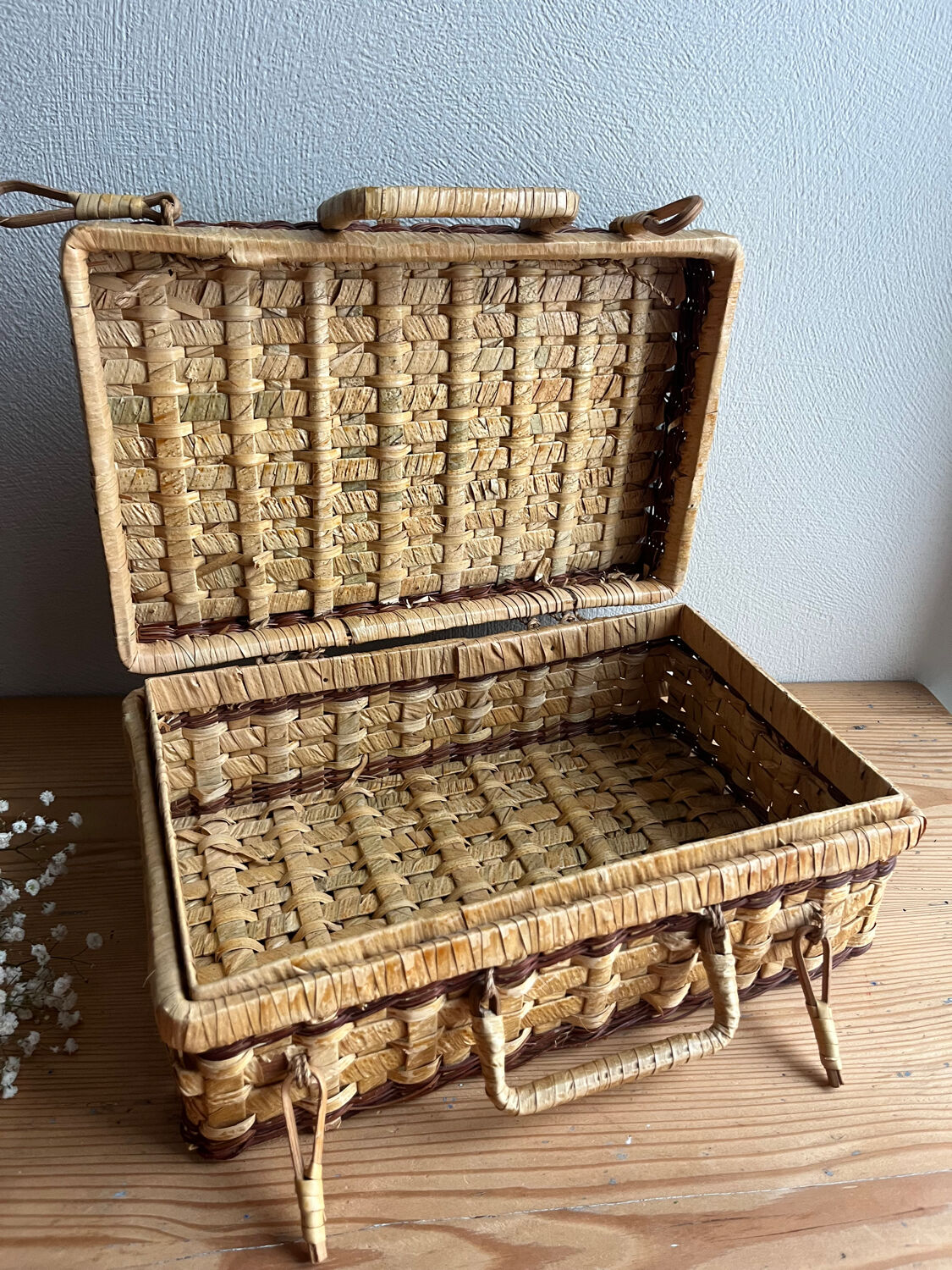 Vintage wicker basket / case