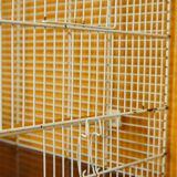 Decorative bird cage & its 3 piafs