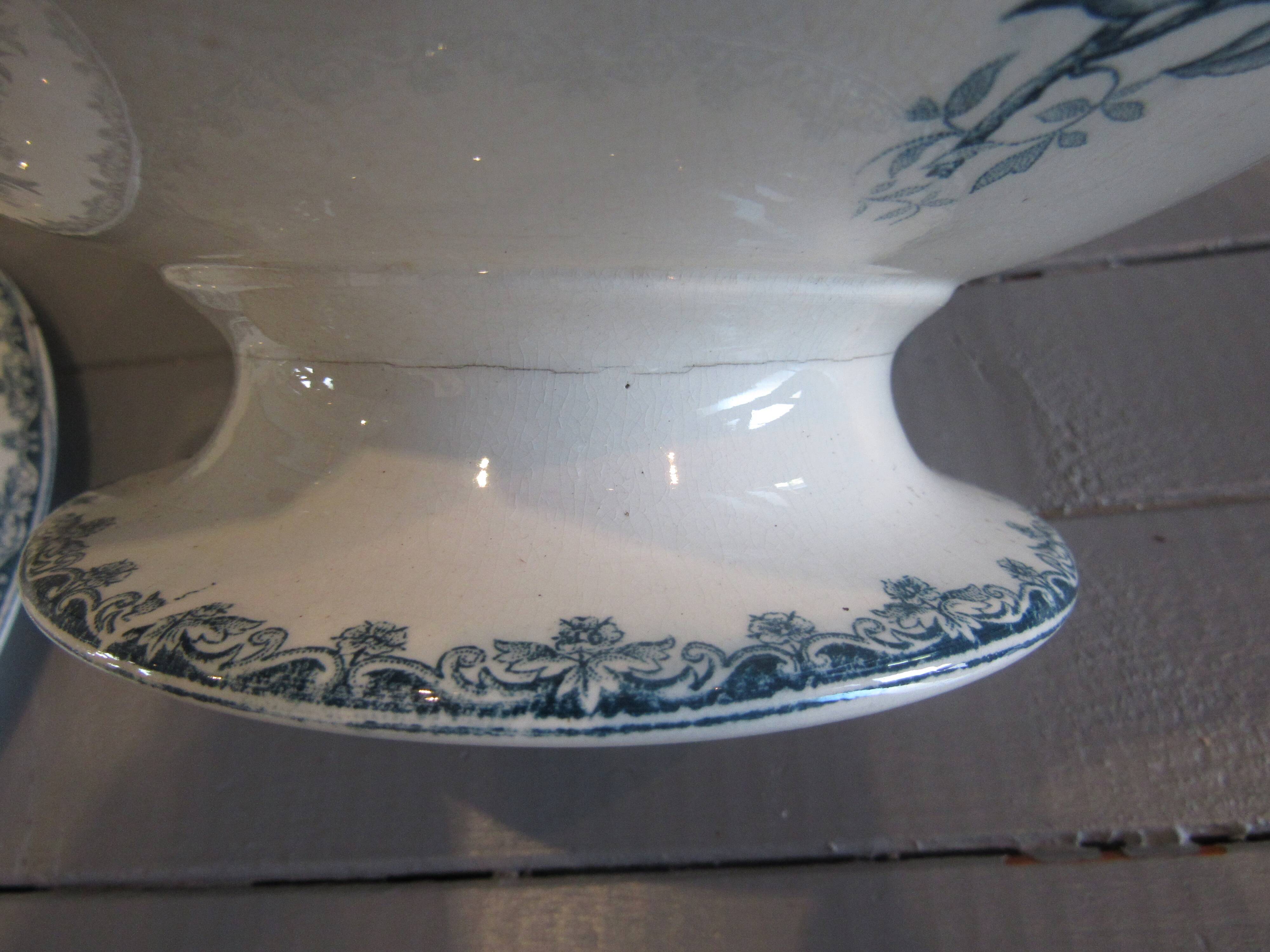 Tierra del Fuego Bengali model