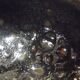 1983 sandstone cut enamels shiny and glaze cooking inside Bullée,Signed