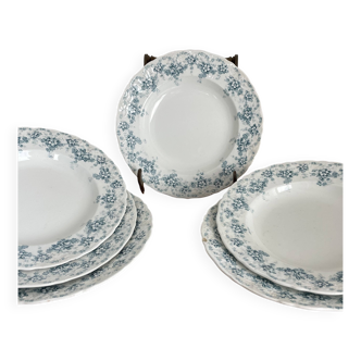 Ensemble de 6 assiettes creuses en faïence de Maastricht modèle Clara
