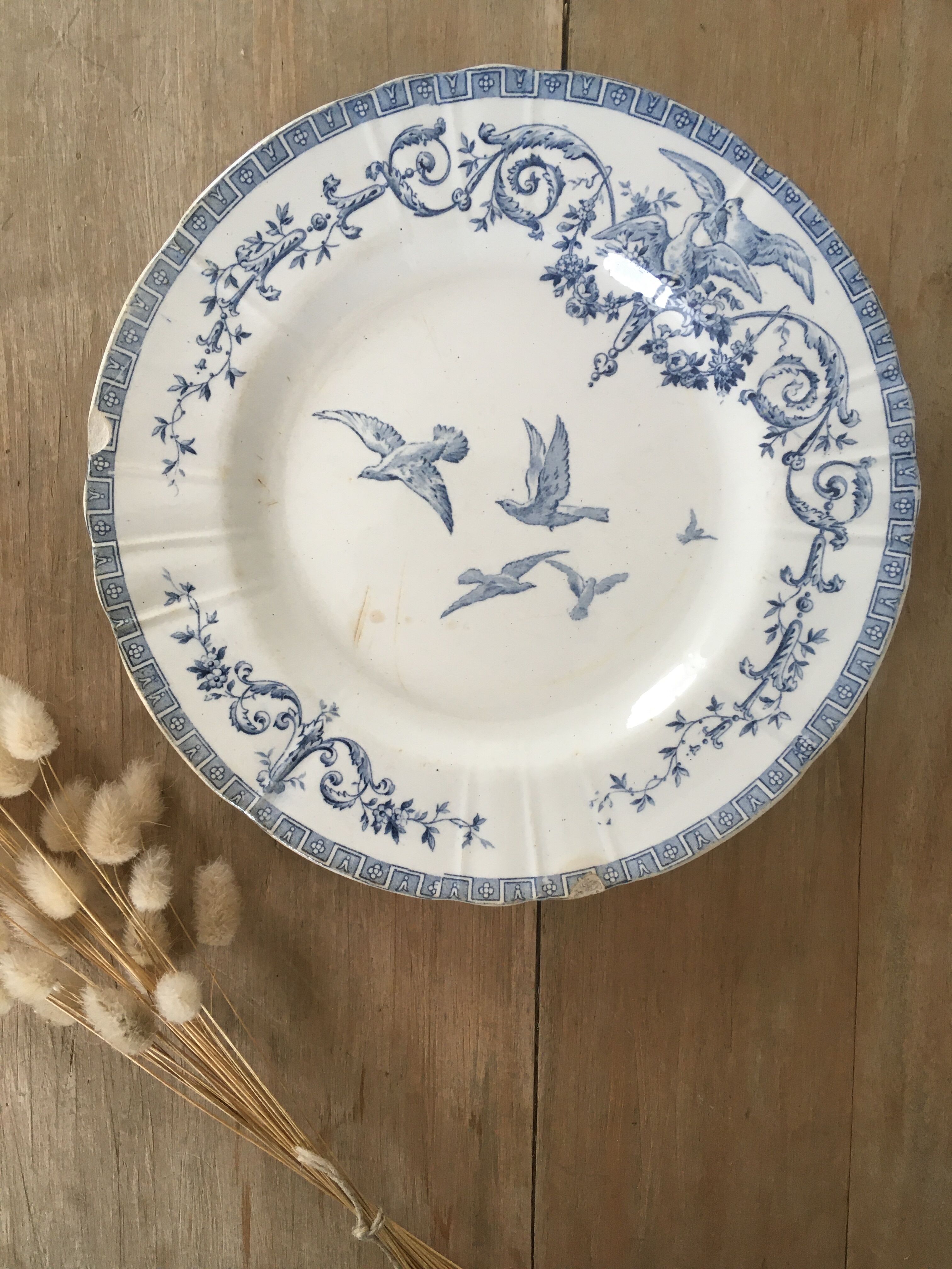 Lot 5 mismatched iron earth flat plates