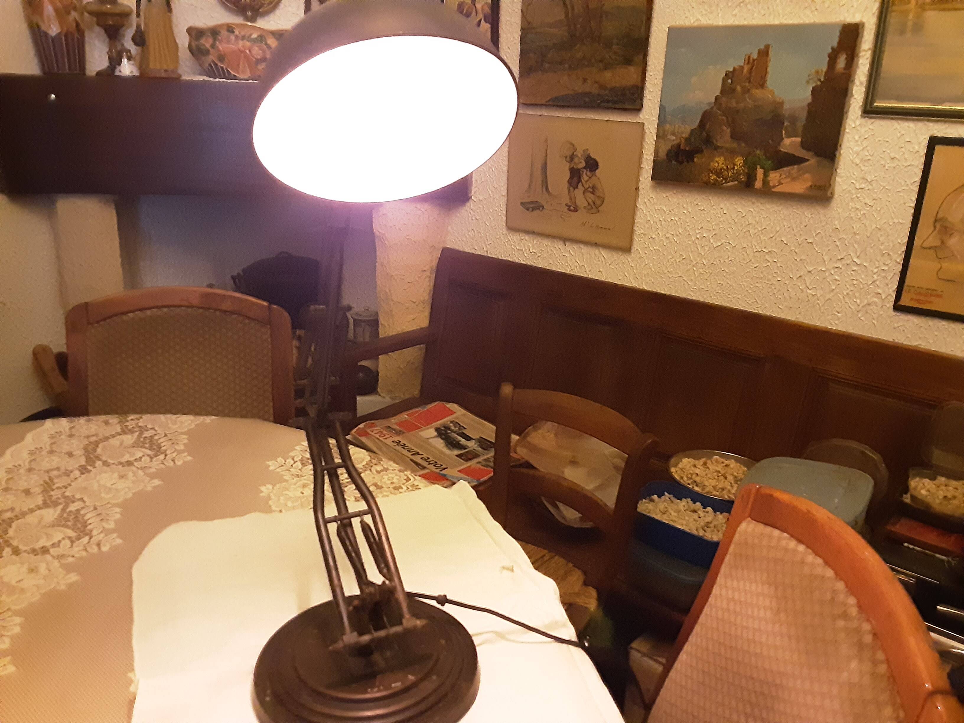 Antique workshop lampnevfer 2 branches