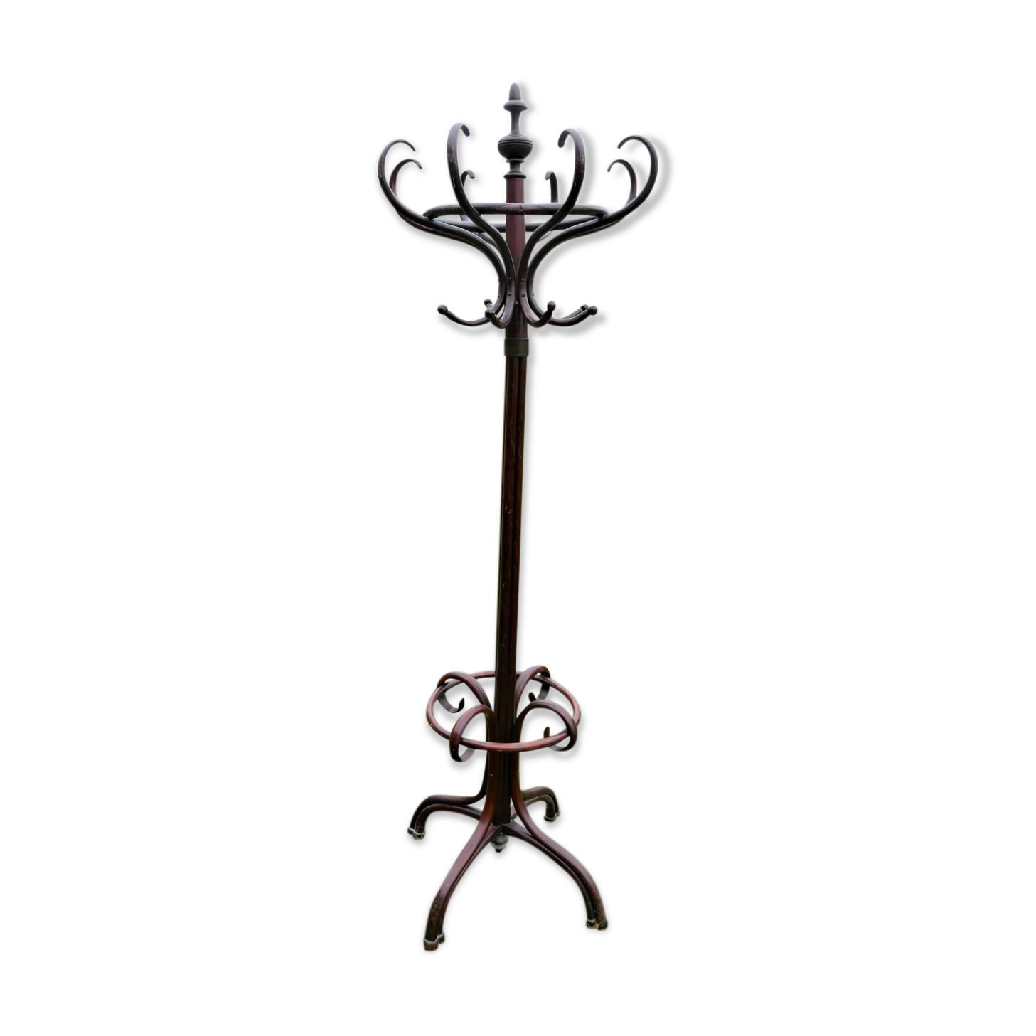 Old bistro parrot coat holder