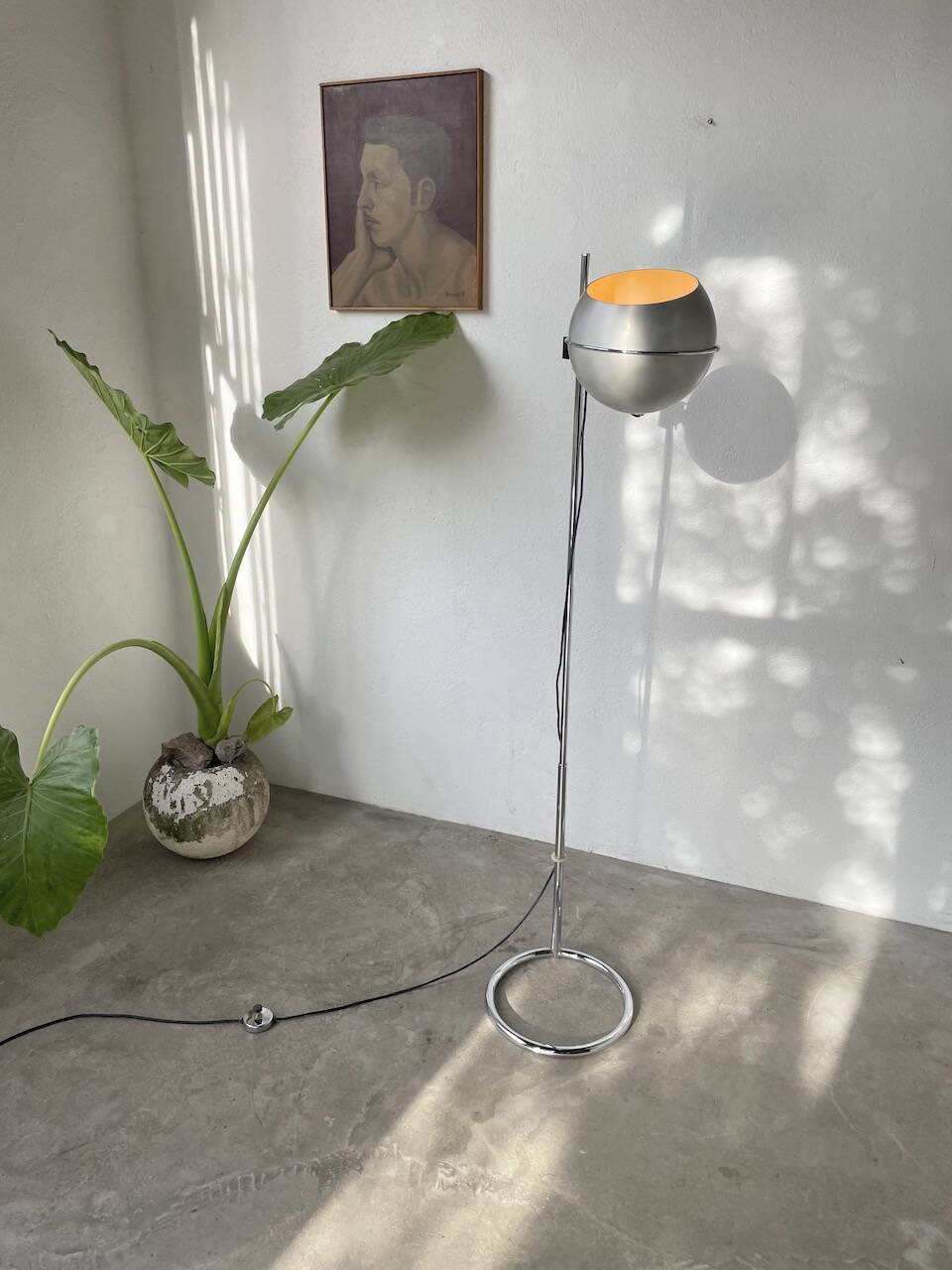 Reggiani “eyeball” floor lamp 1970