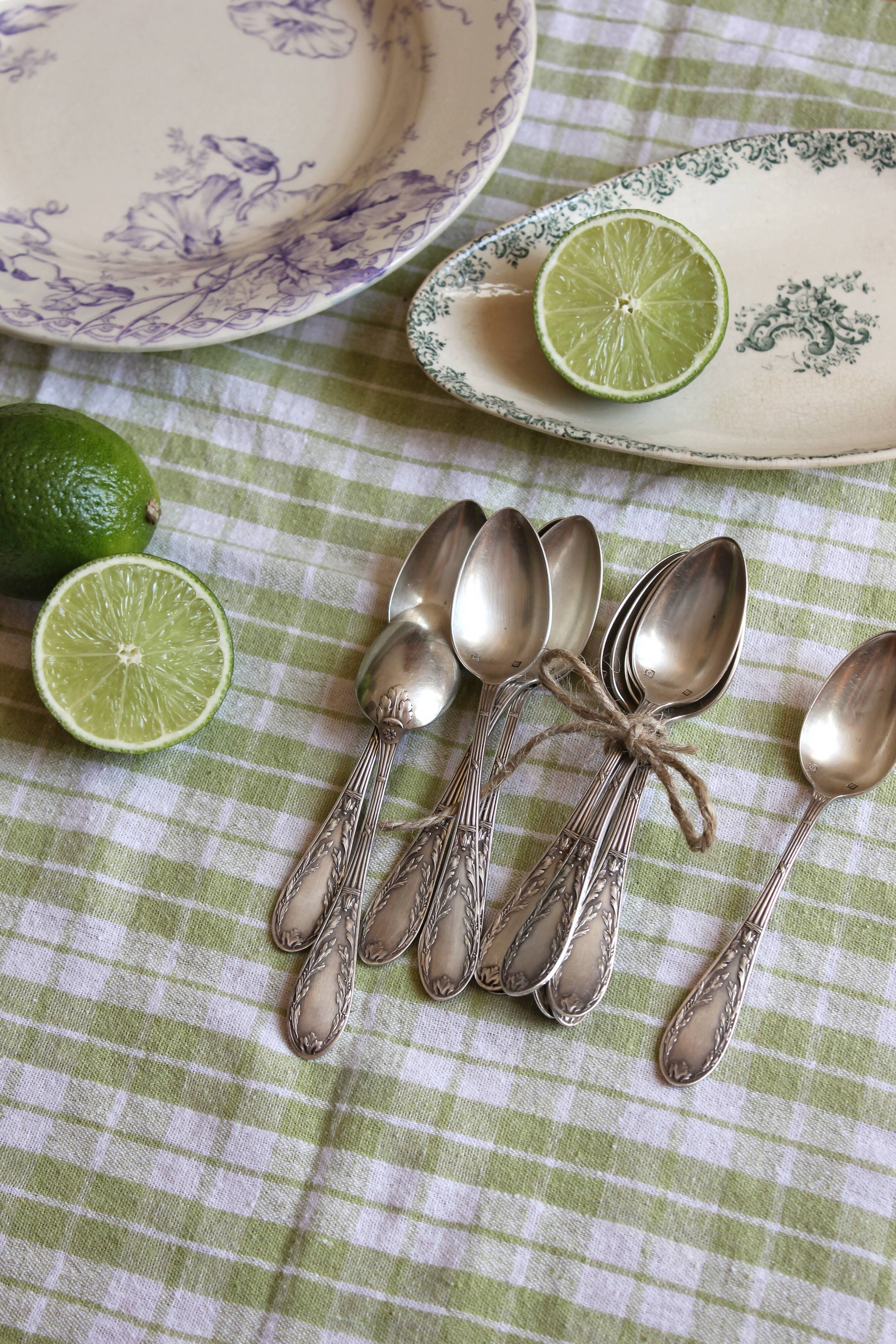 Box of 12 small spoons in vintage silver metal