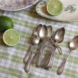 Box of 12 small spoons in vintage silver metal