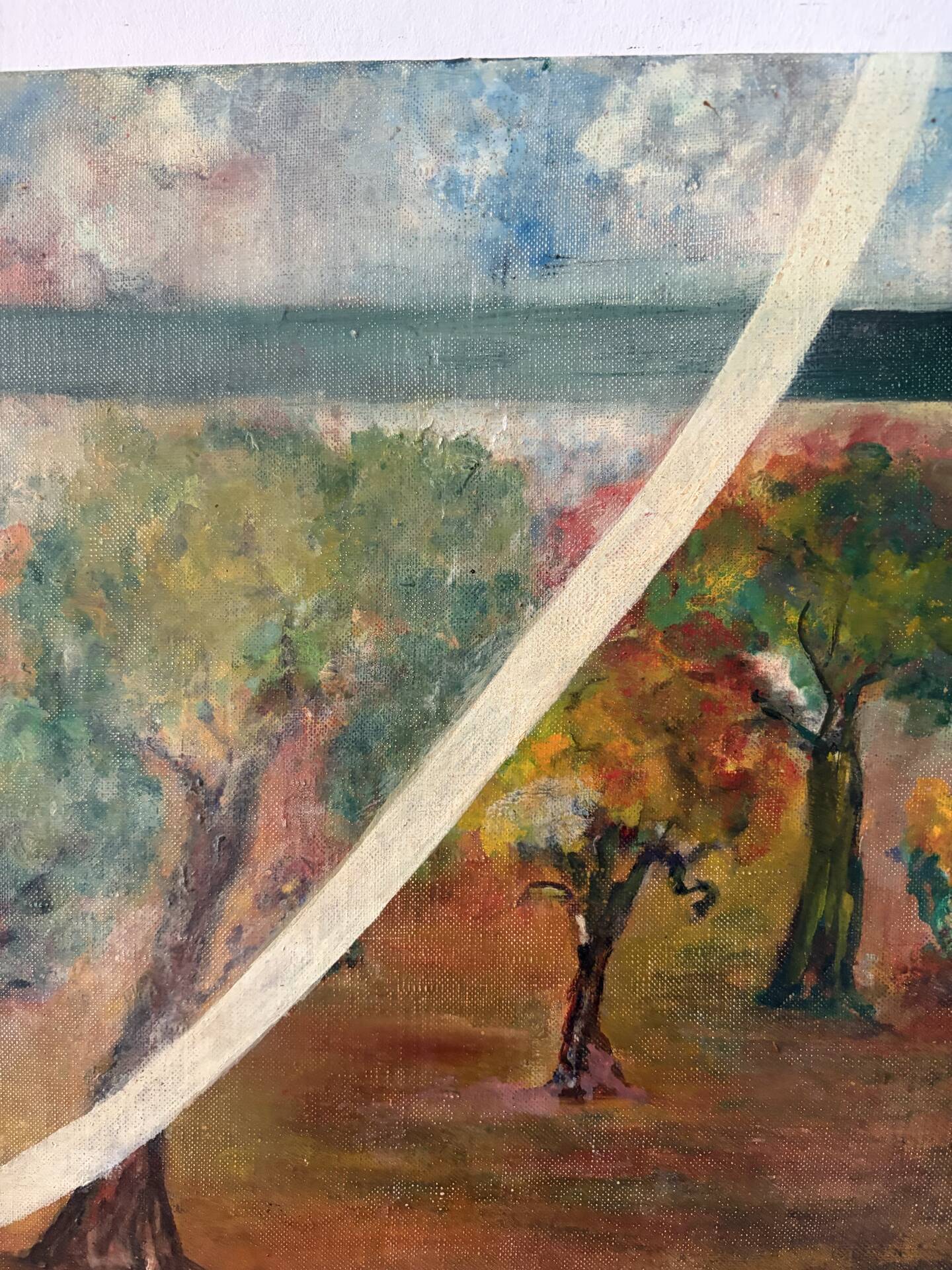 The orchard,