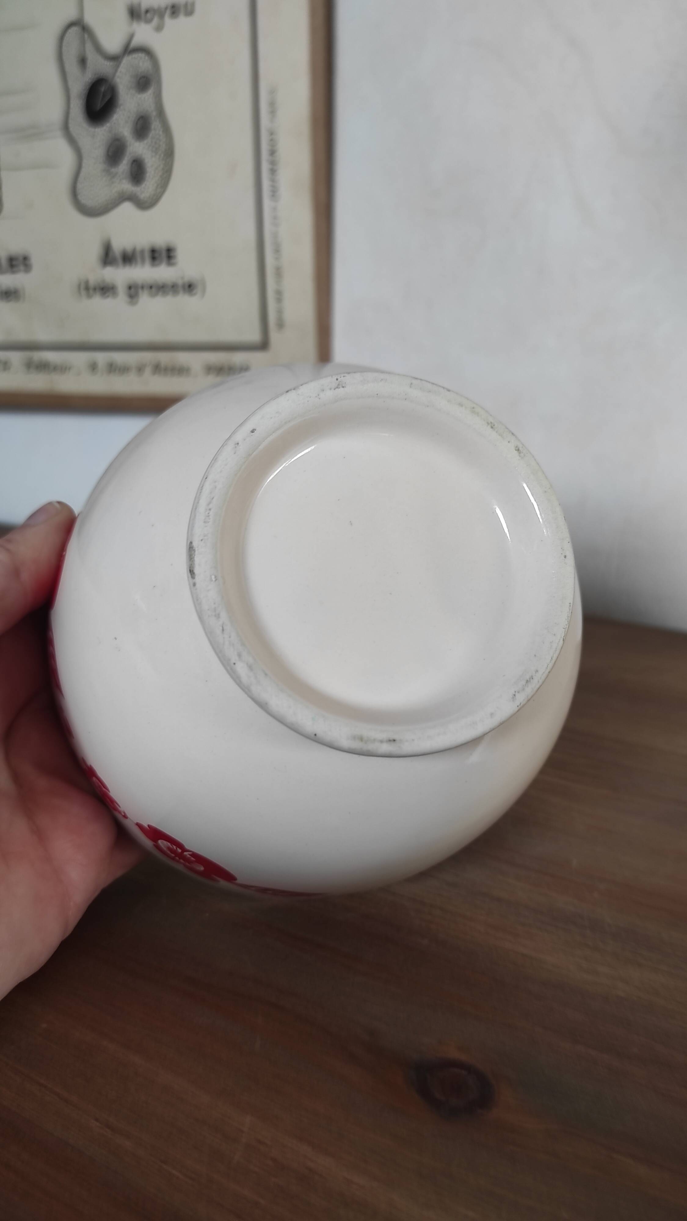 Vintage bowl with red flowers