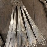 Saglier Brothers cutlery cutlery 48 pieces