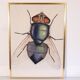 Vintage serigraphy by Anders Osterlin