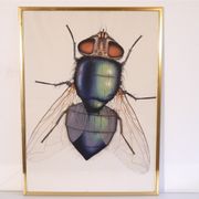 Serigraphie vintage de Anders Osterlin