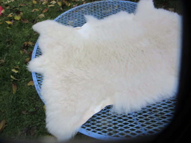 Sheepskin