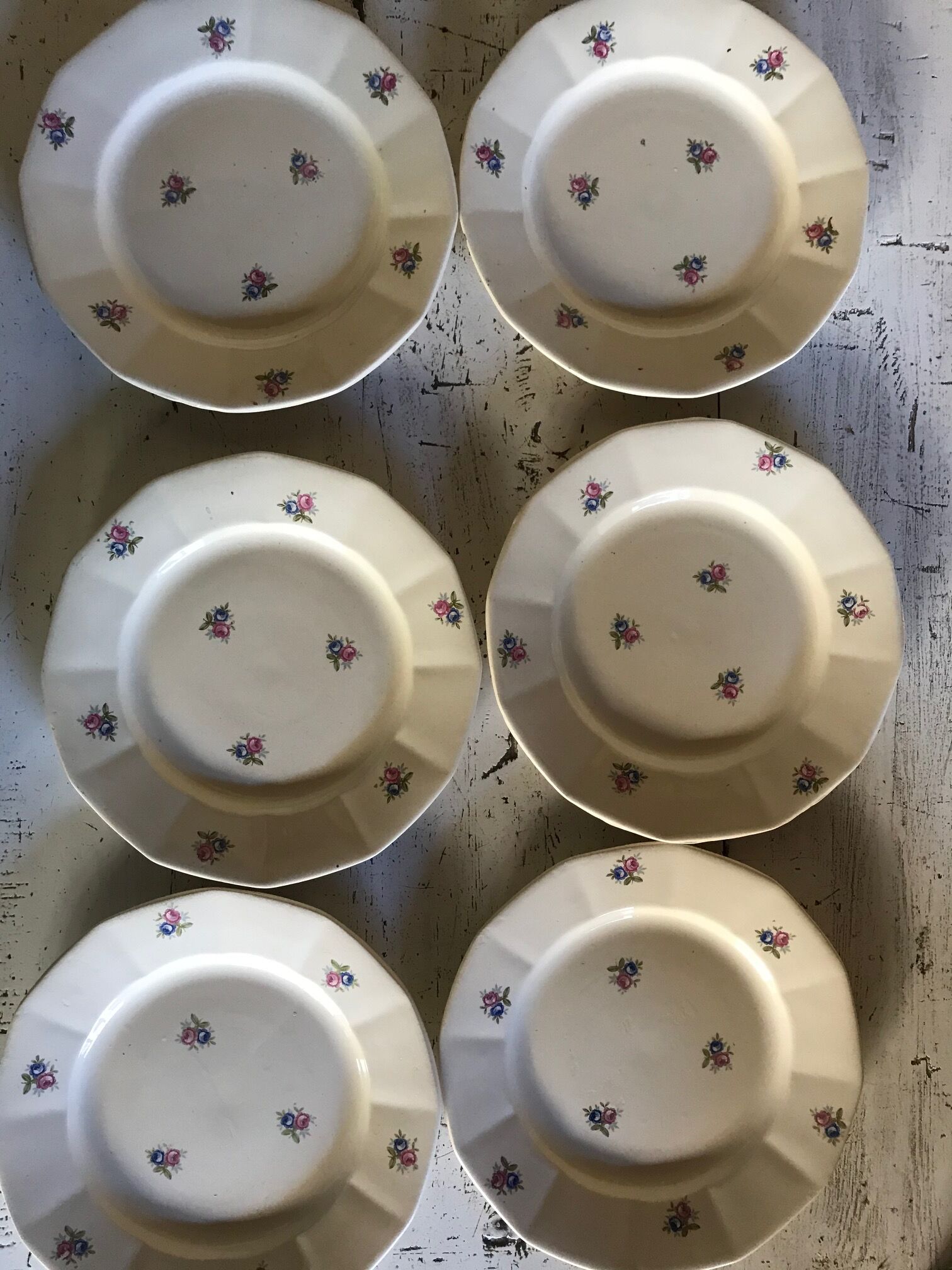 6 digoin flat plates