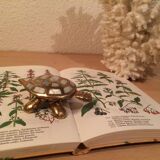 Brass and mother-of-pearl turtle jewelry box
