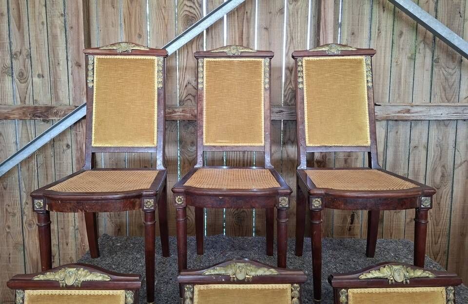 Set of 6 Empire dining chairs – Mahogany, gilded bronze (ombp)