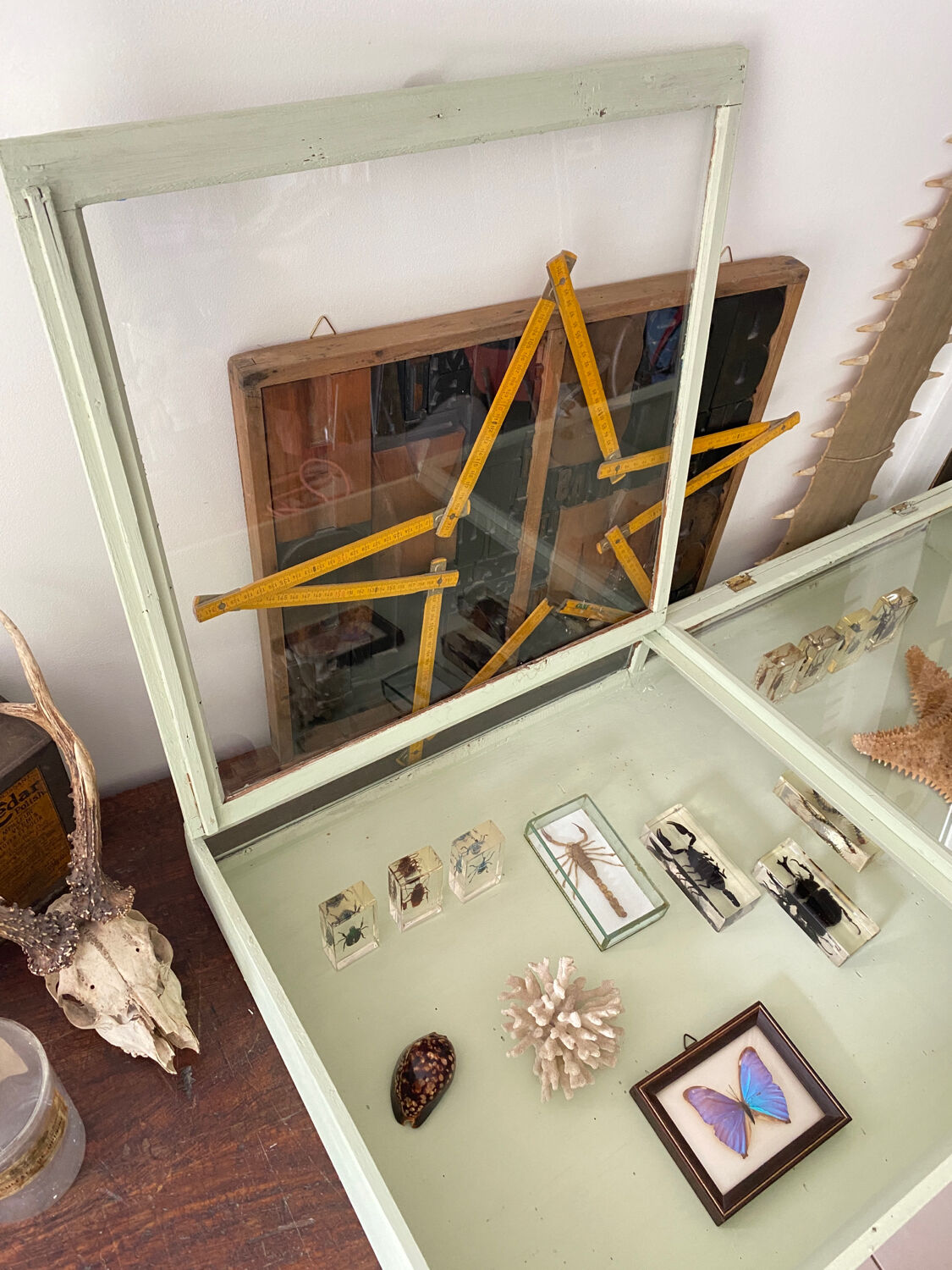 Display case with double glass