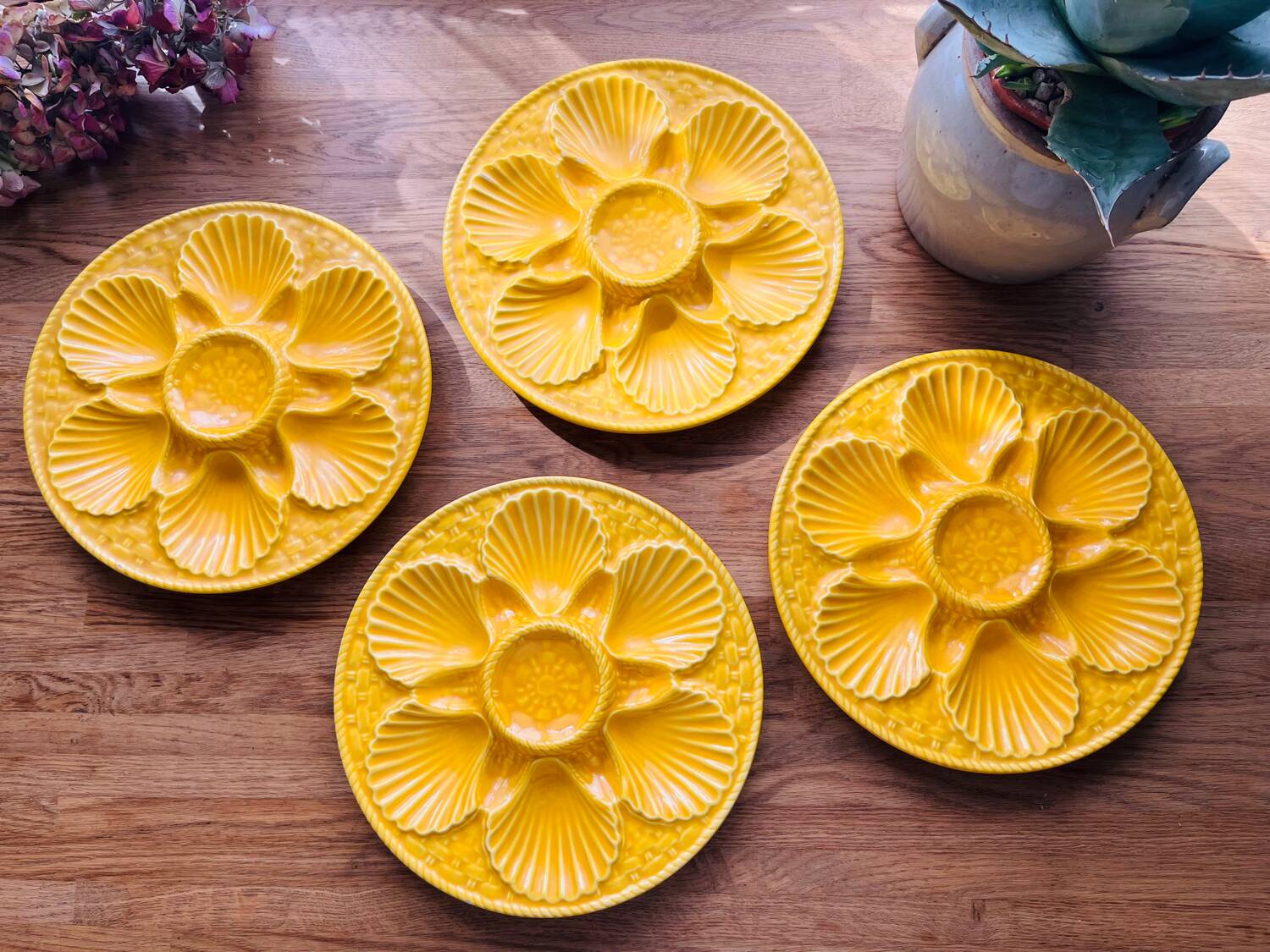 Earthenware shell plates