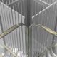 Dining table steel brass 70