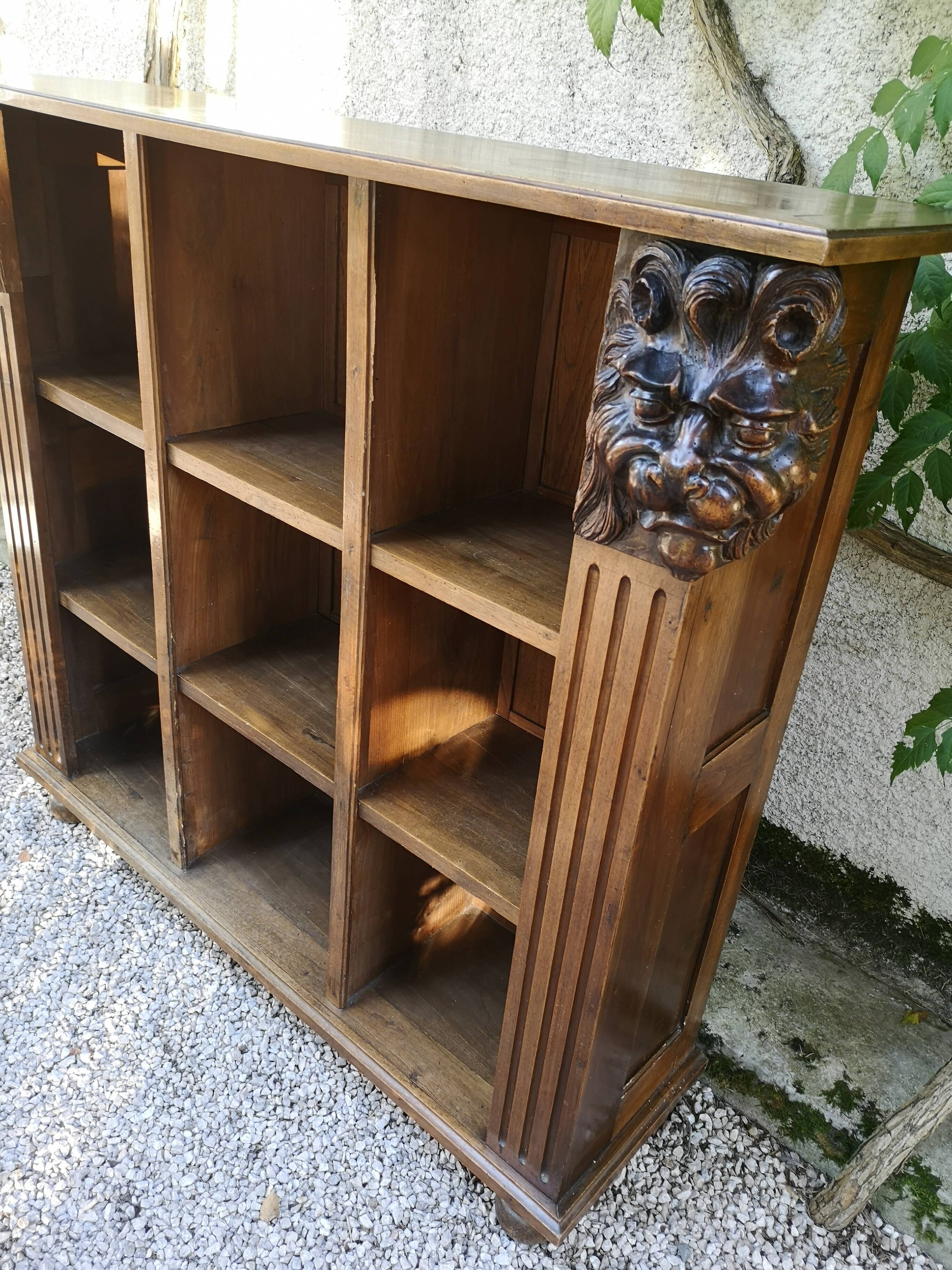 Biblioteque Bibus carved lion's head