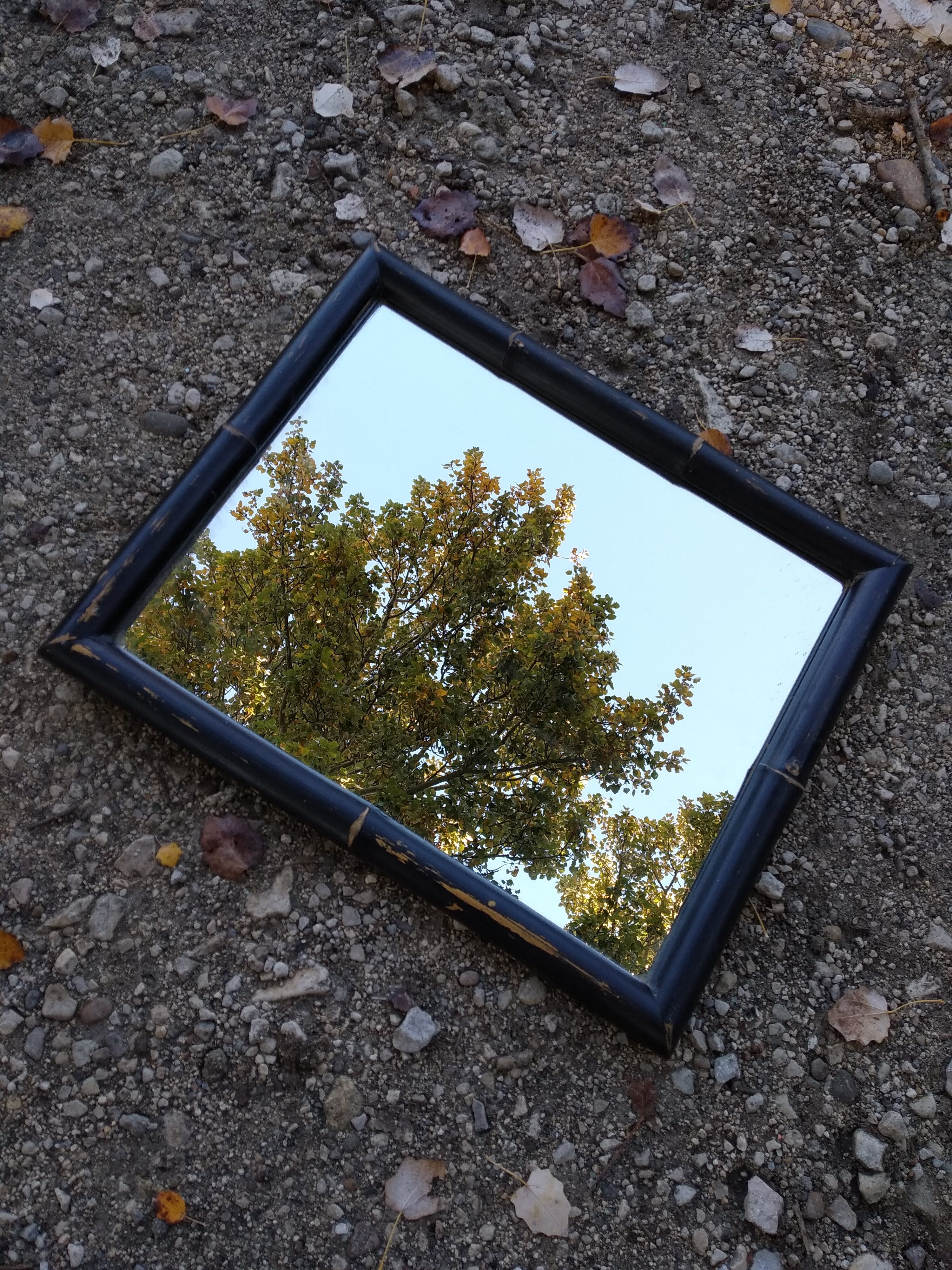 Bamboo mirror, vintage