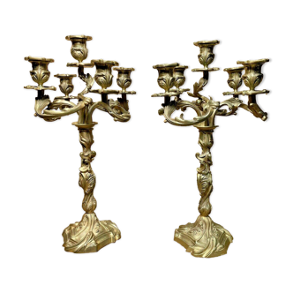 SUPERB PAIR CANDELABRES ROCKERY BRONZE, LOUIS XV STYLE, NAPOLEON III PERIOD