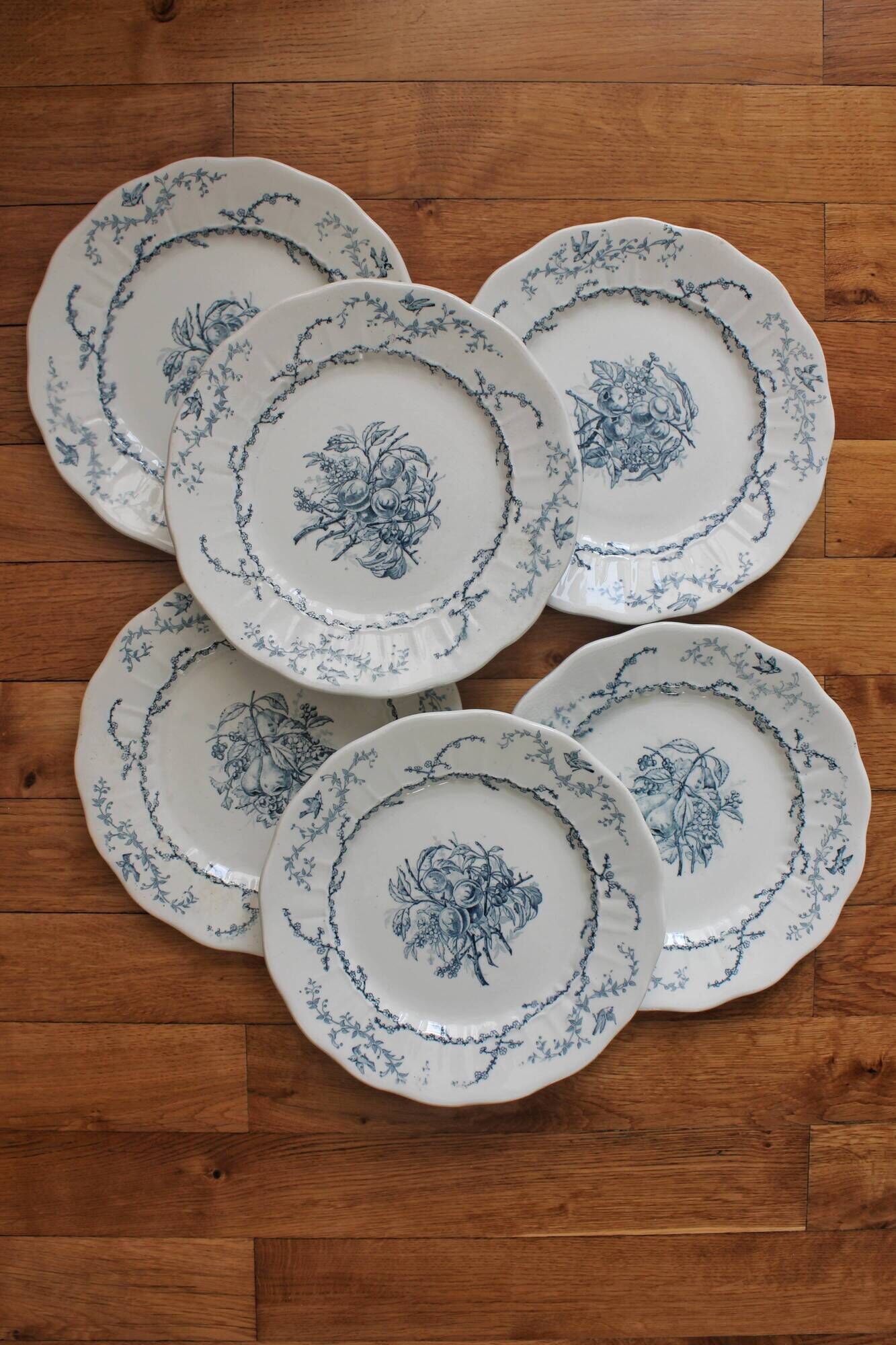 6 flat plates in iron earth Pompadour earthenware factory of Clairefontaine