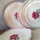 5 iron earth dishes