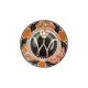 Dutch Inauguration ceramic Plate Of Wilhelmina from 1898