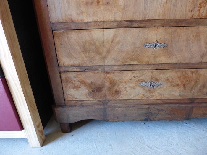 Antique chest of drawers with 4 drawers of Epoque Louis Philippe in solid walnut wood and walnut veneer - Totalme