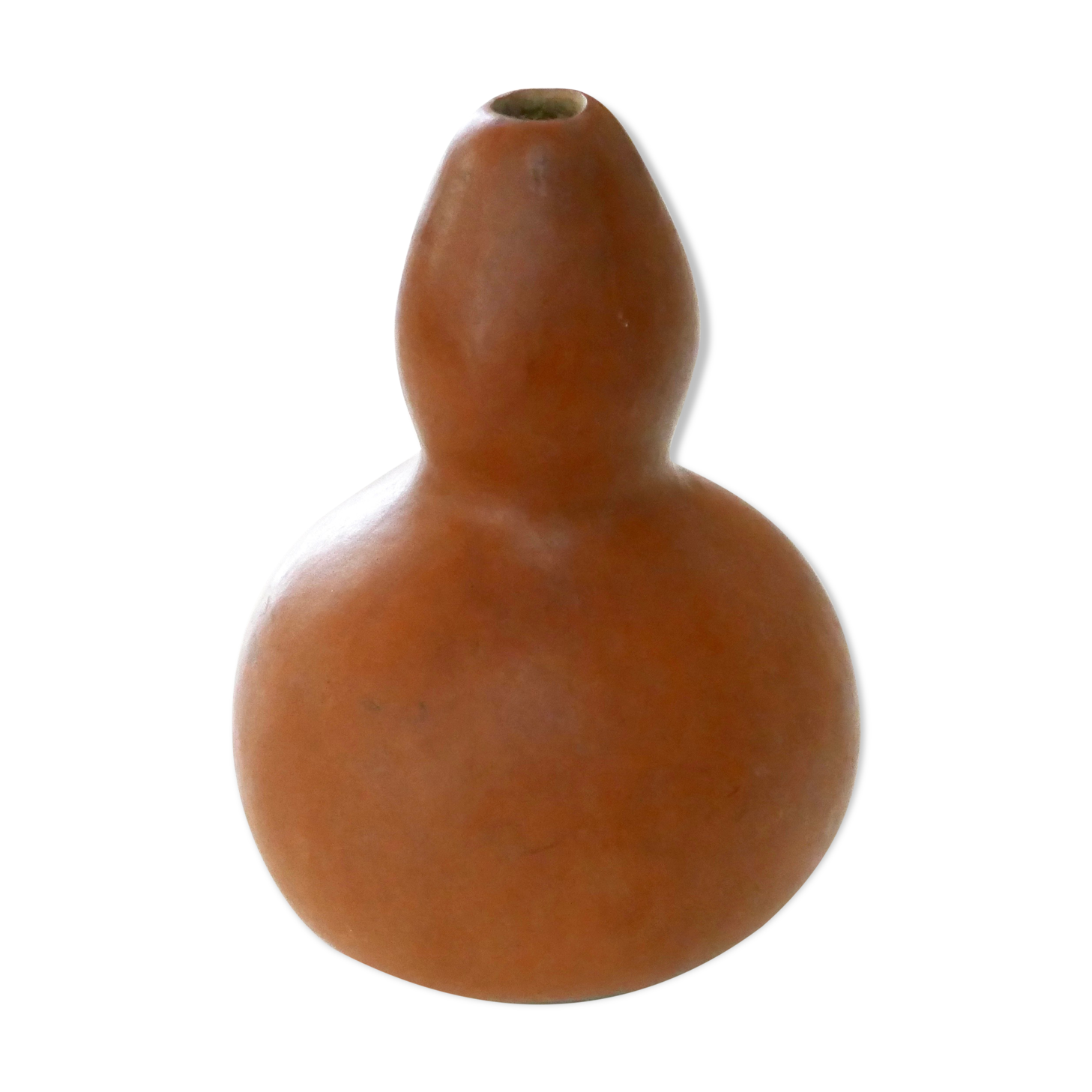 Vase calebasse en bois, années 50