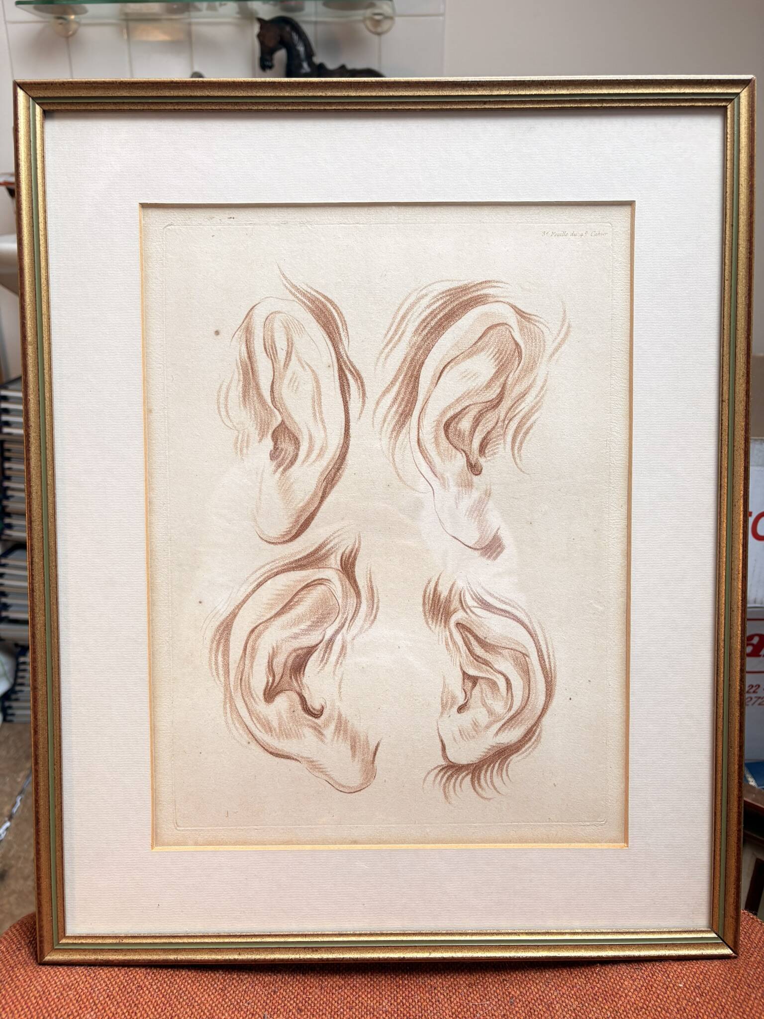 Old Print Engraving 19th Century Study of an Ear After Janinet Le Clerc