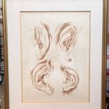 Old Print Engraving 19th Century Study of an Ear After Janinet Le Clerc