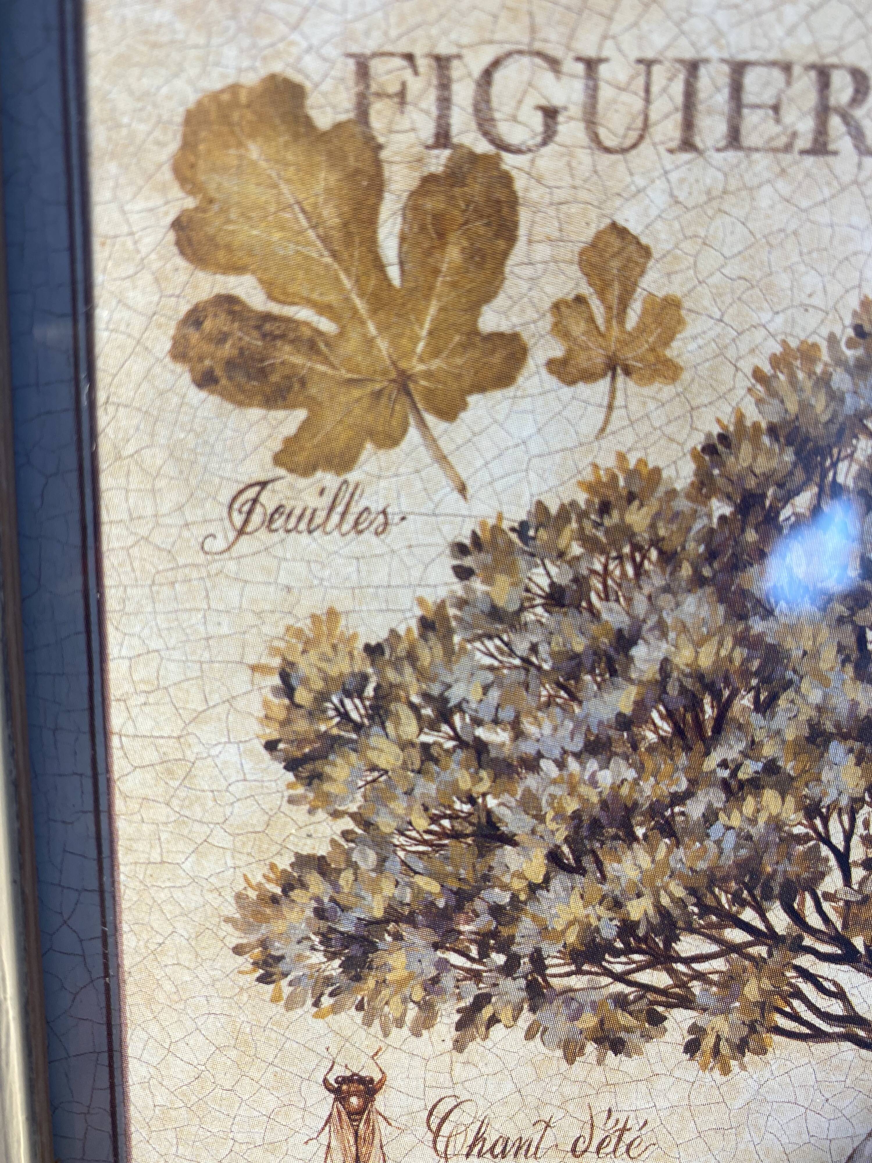 Botanical painting, fig tree of the south, XXI century