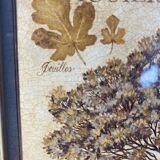 Botanical painting, fig tree of the south, XXI century