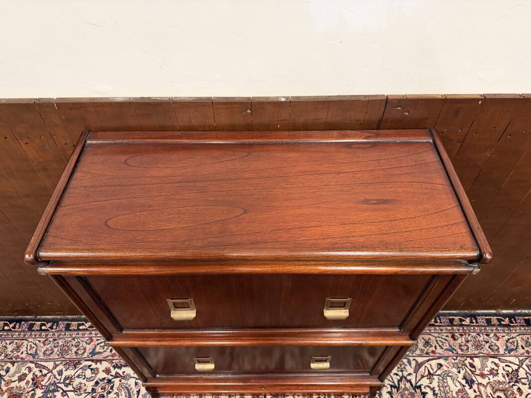 Globe Wernicke Chest of Drawers