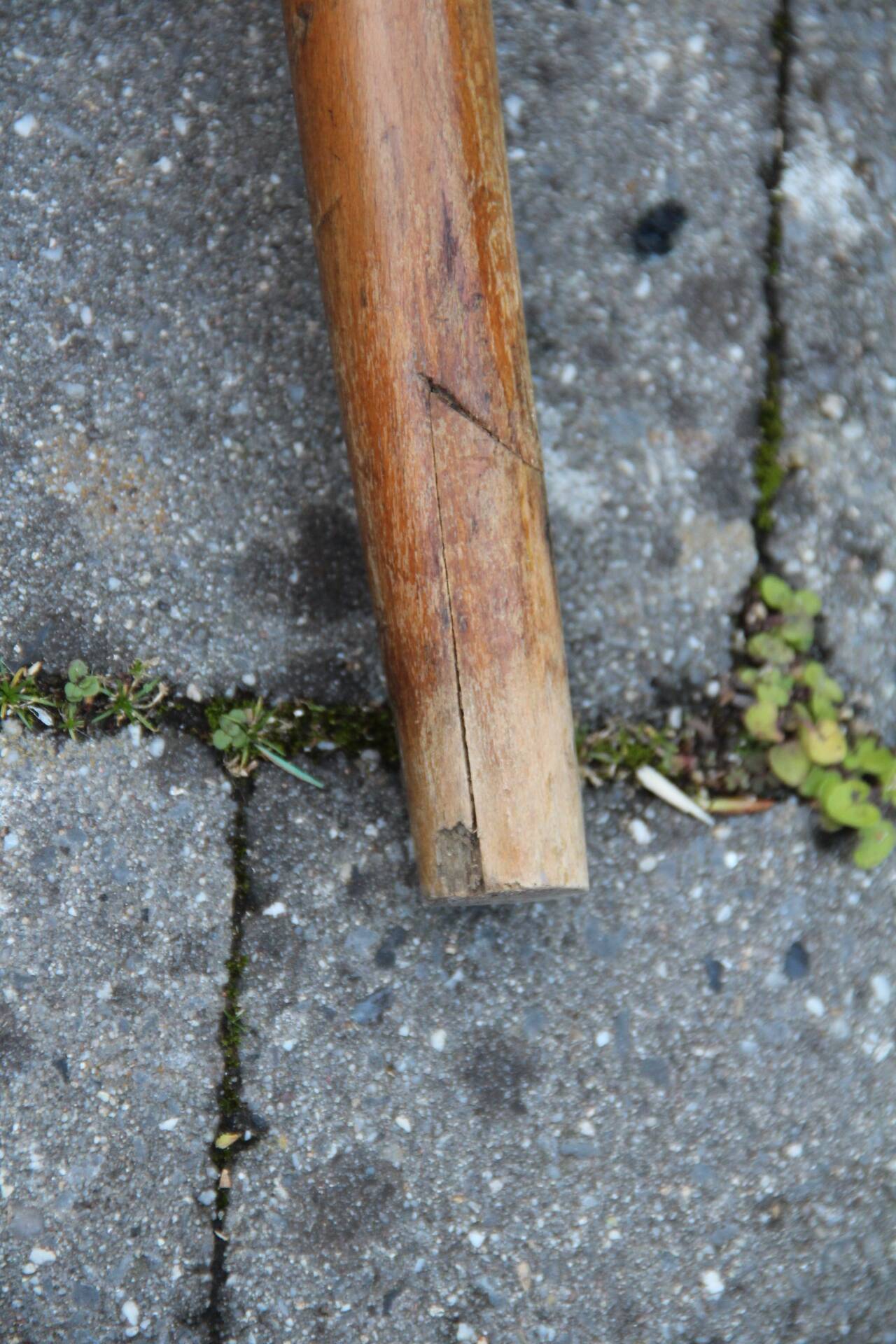 4 chaises bistro aux assises sérigraphiées