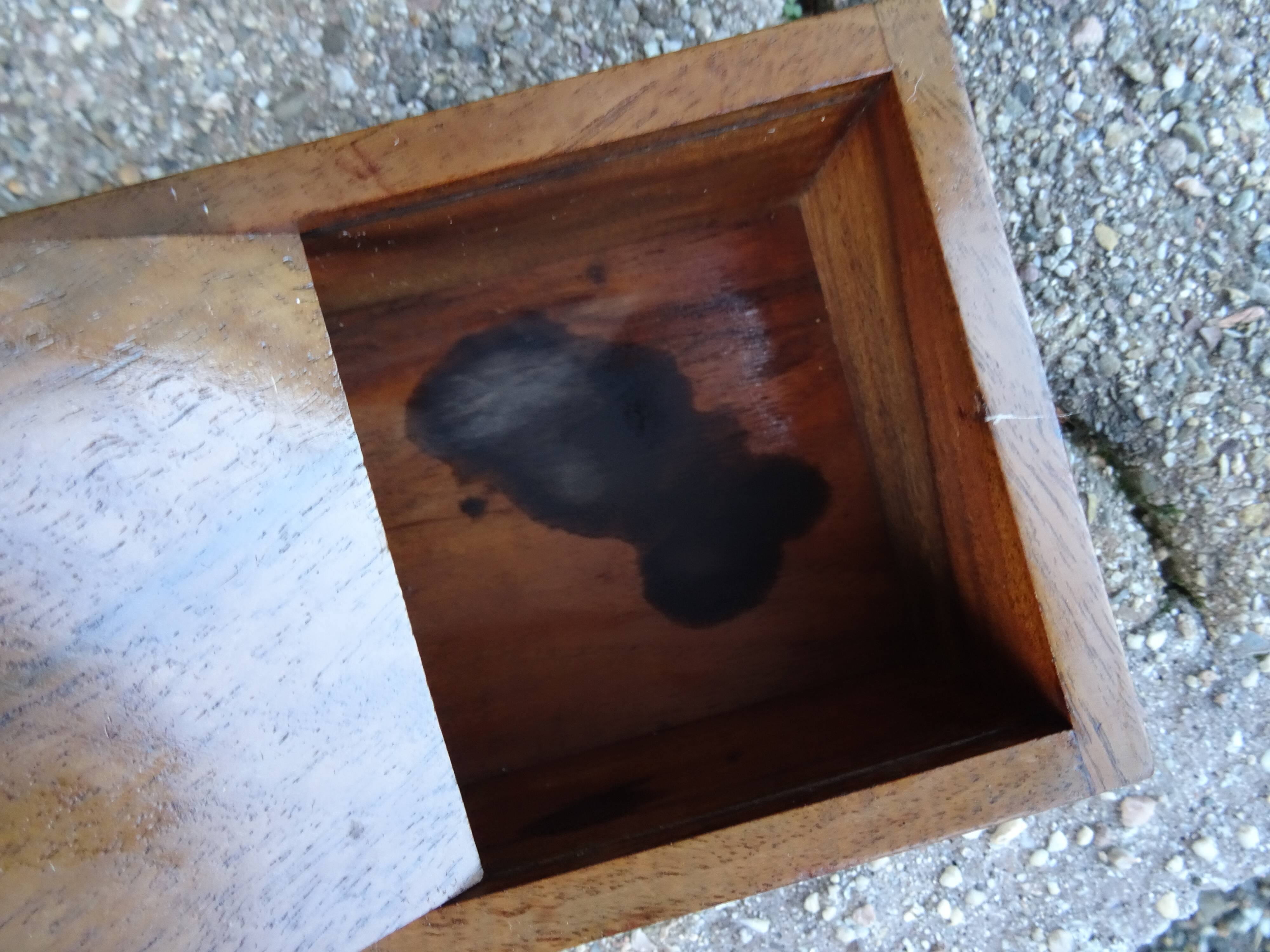 Fox terrier cigarette box