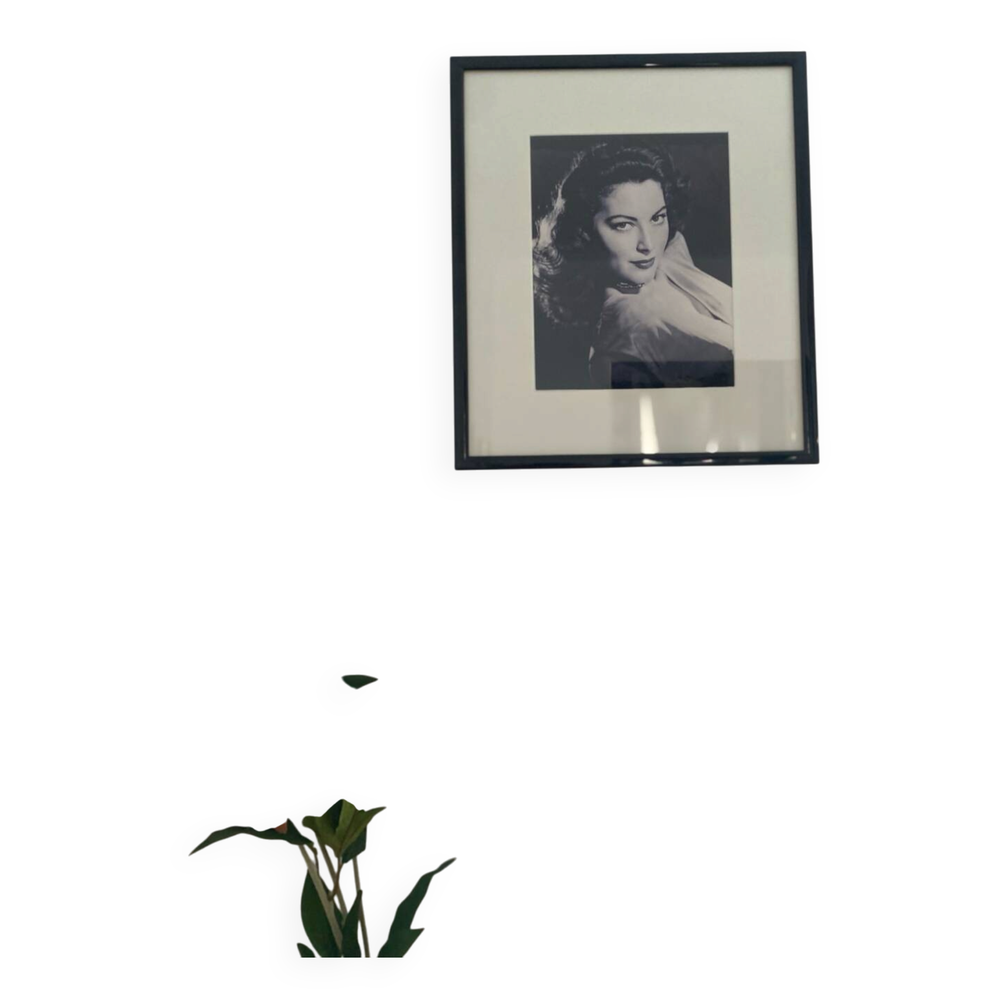 Frame Ava Gardner