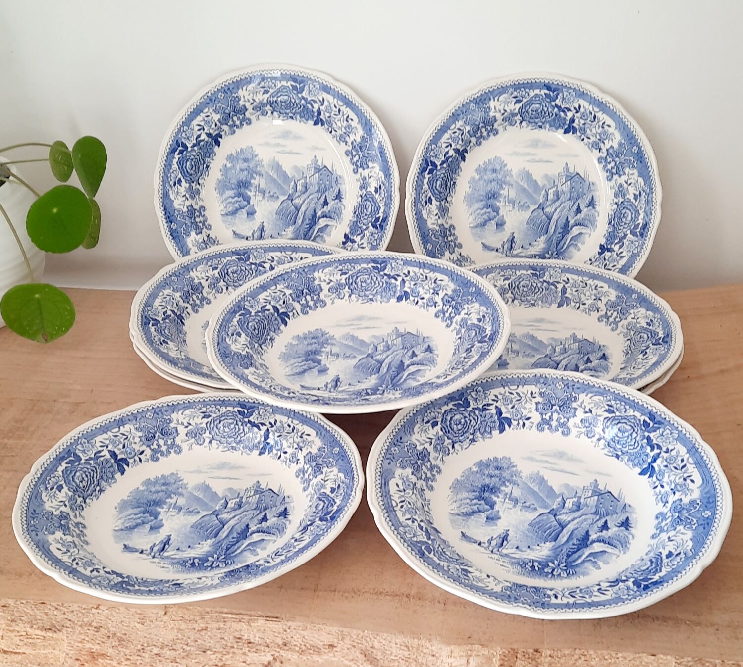 Villeroy and Boch soup plates