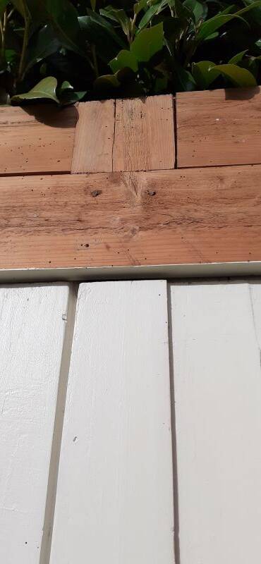 Pair of 19th-century cupboard doors and frame, woodwork