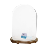 Globe en verre ovale 27 cm haute