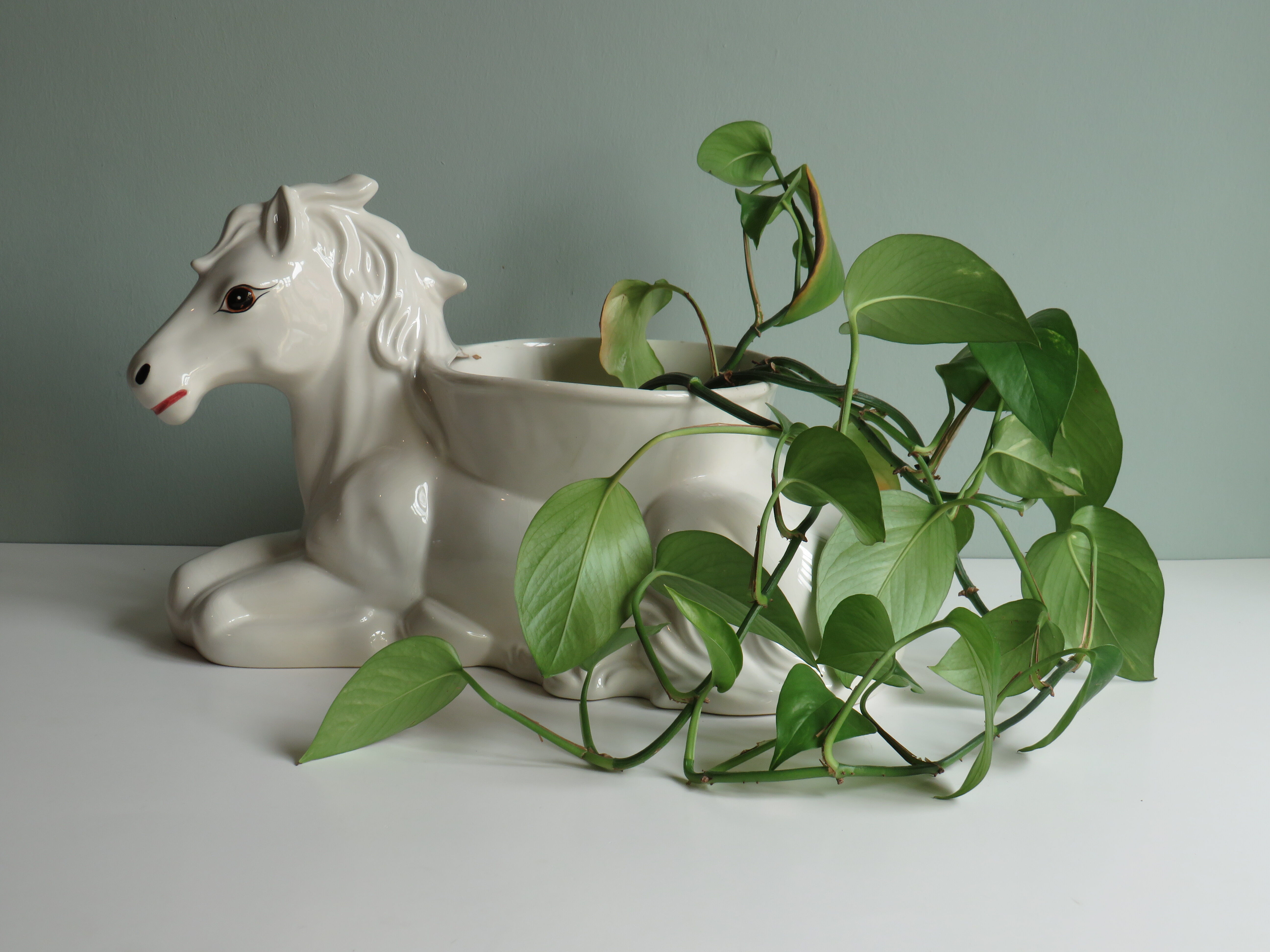White glazed ceramic pot cover, 1950