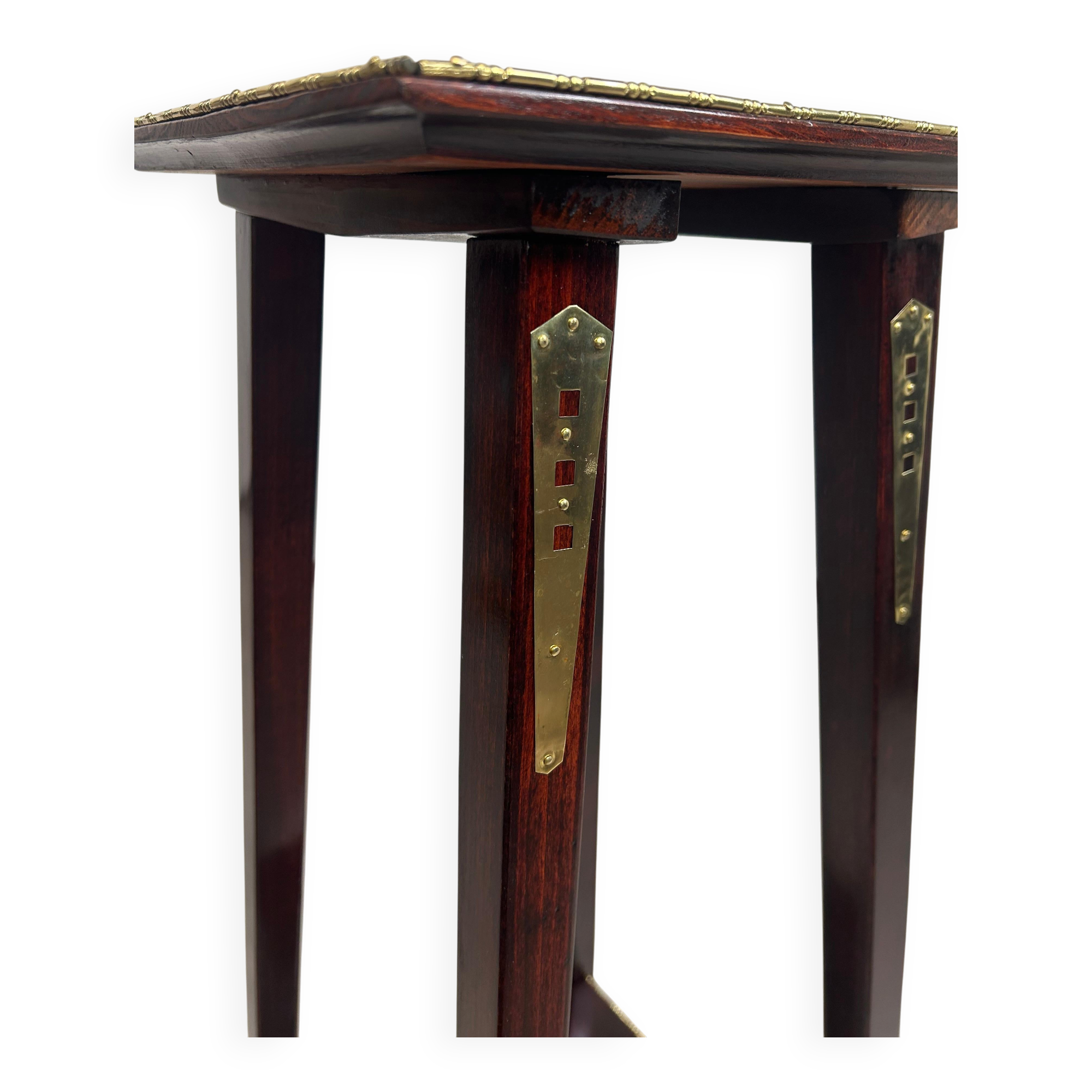 Vienna Secession plant support