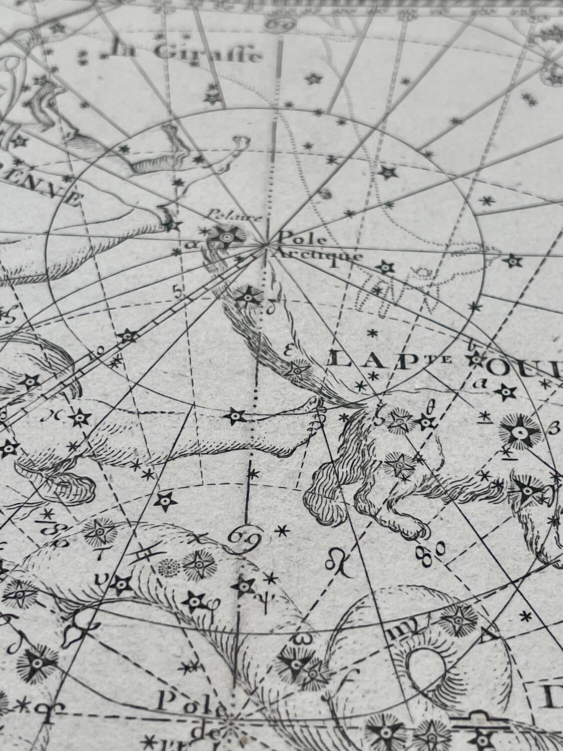 Cassiopée Céphée Le Renne La Petite Ourse Le Dragon - Astronomie