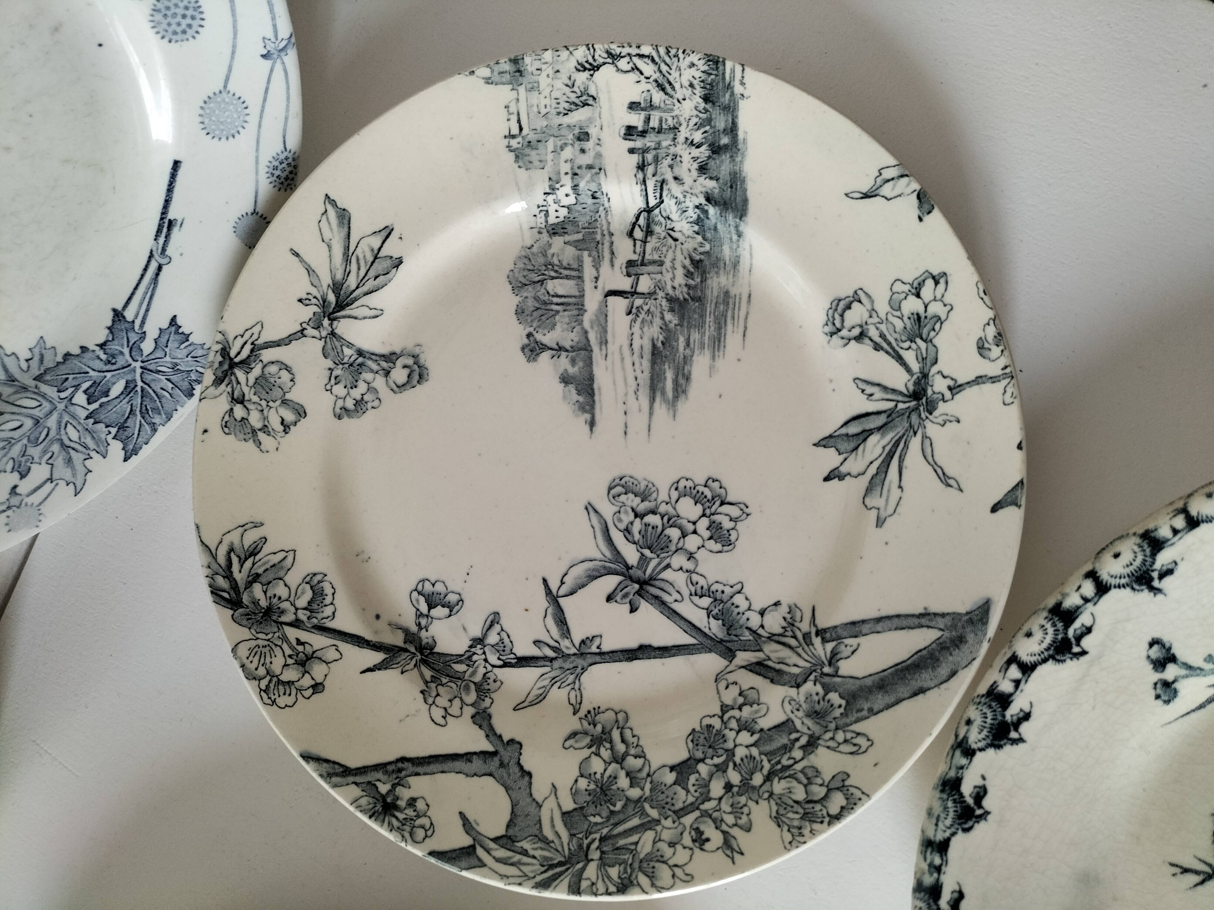 Set of 6 ironstone plates in shades of blue, late 19th to early 20th century.