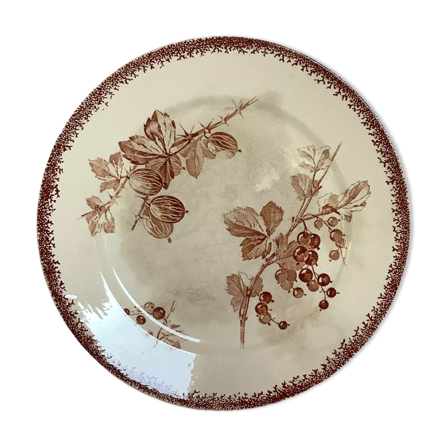 Old earthenware plate model gooseberries sarreguemines