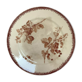 Old earthenware plate model gooseberries sarreguemines